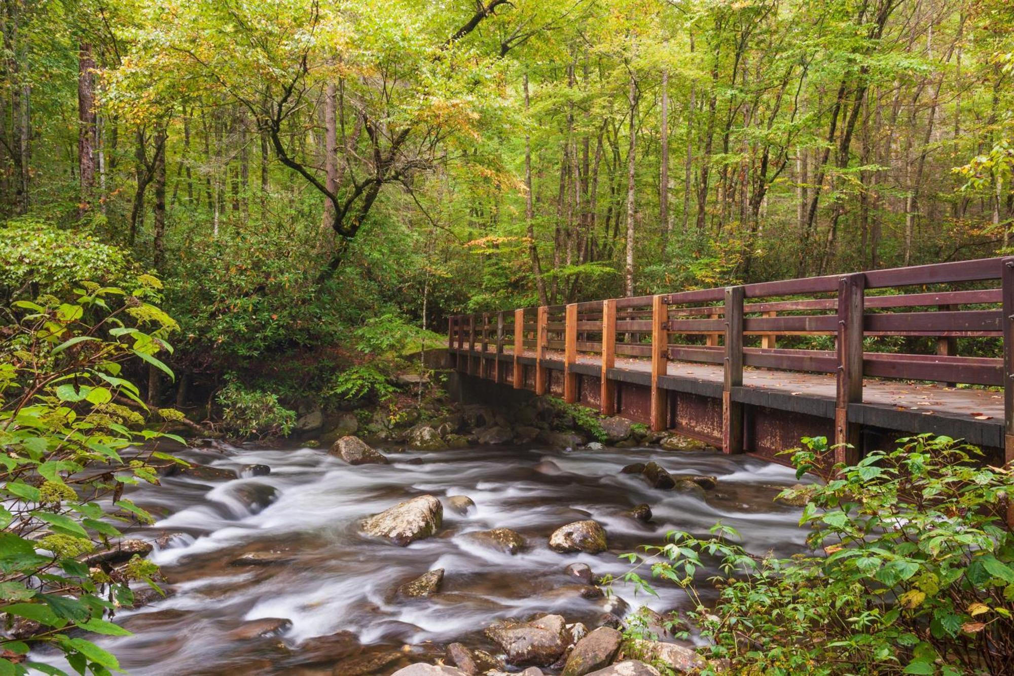 Moonshine Chalet, Hot Tub, Pool Access, Wifi, 1089 Free Tickets Each Paid Day, Dollywood And More ガトリンバーグ エクステリア 写真